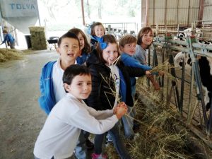visita a la granja Lacturale del alumnado de 2º EP del #DeutscheSchuleSAM